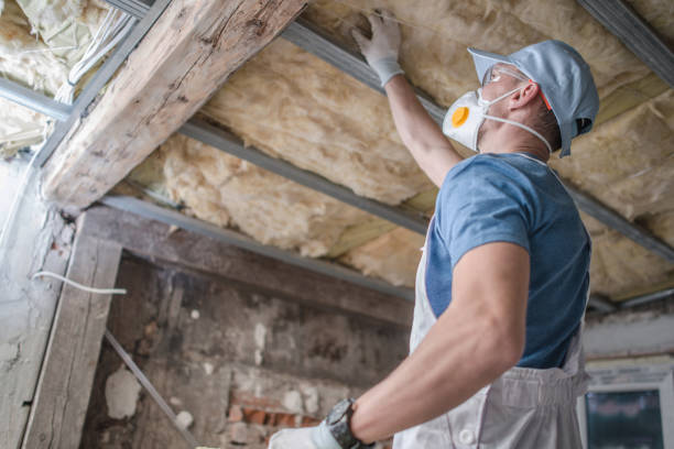 Best Geographic-Specific Insulation Services in Nesquehoning, PA