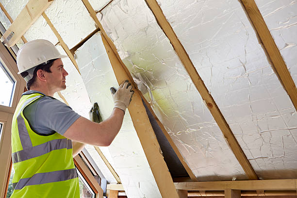 Best Cellulose Insulation in Nesquehoning, PA