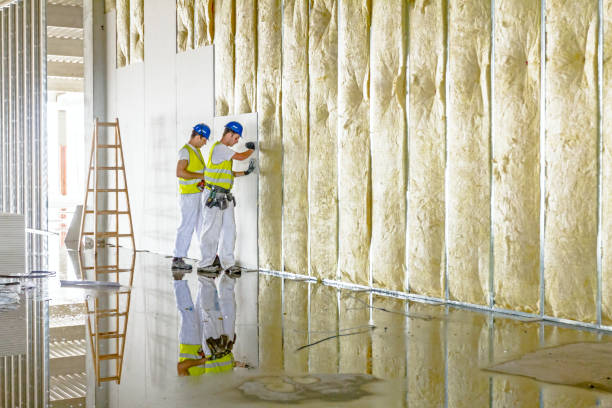 Best Fiberglass Insulation in Nesquehoning, PA